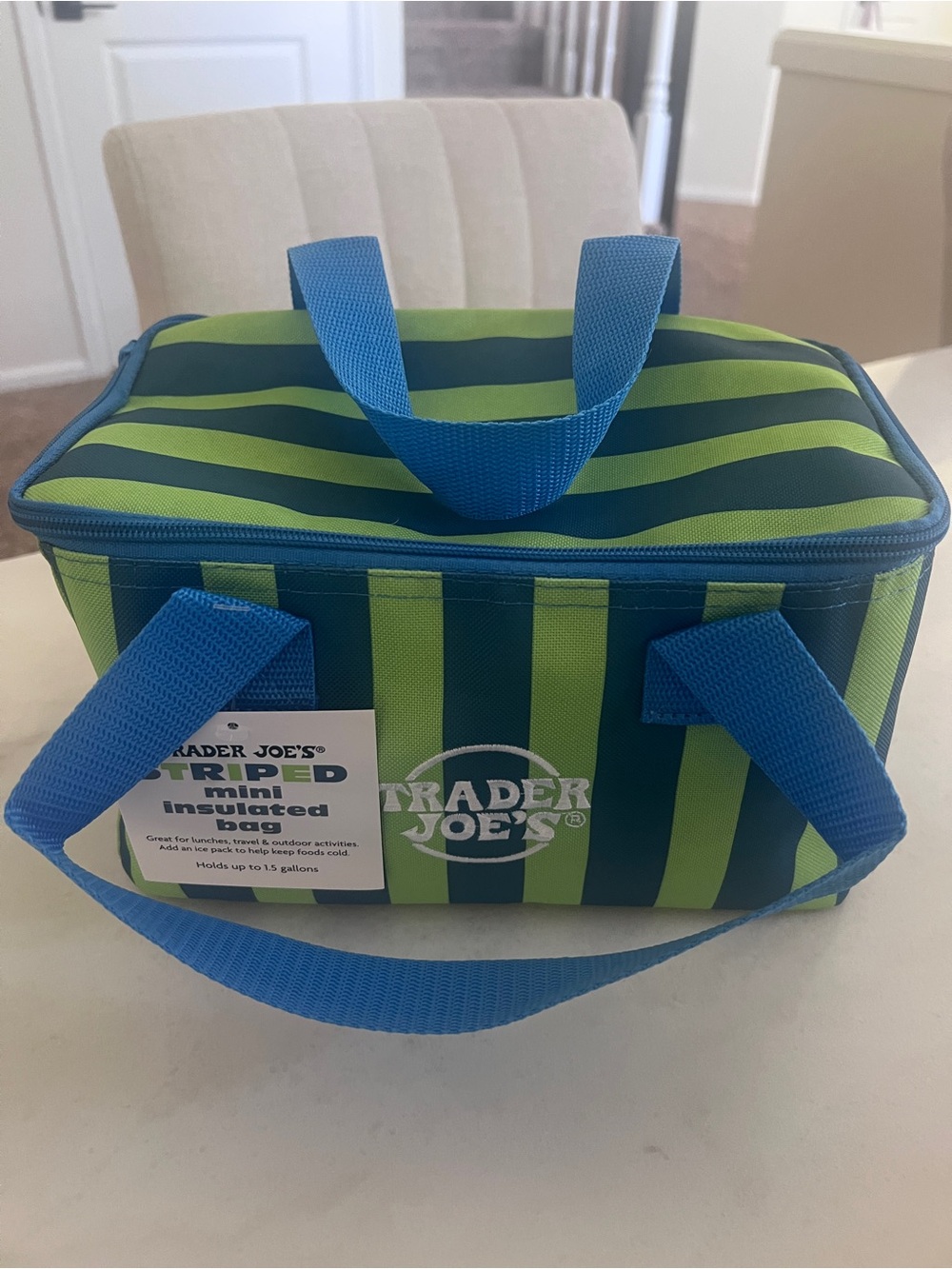 Trader Joe's Striped Mini Insulated Bag Tote Blue Green NWT limited edition